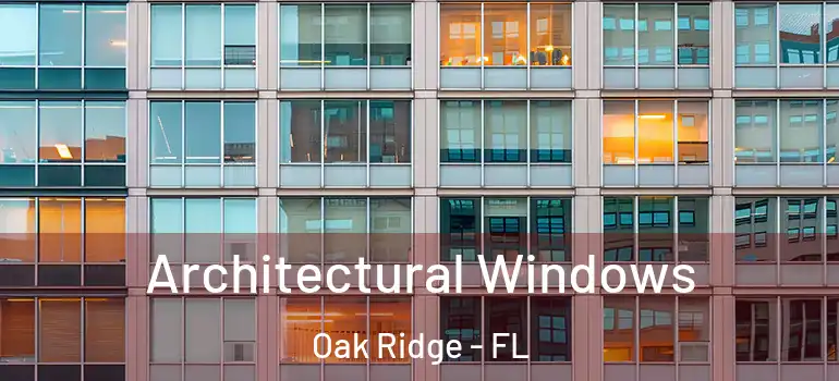 Architectural Windows Oak Ridge - FL
