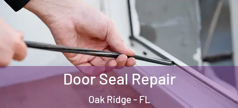  Door Seal Repair Oak Ridge - FL