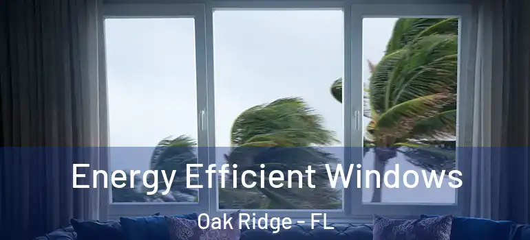  Energy Efficient Windows Oak Ridge - FL