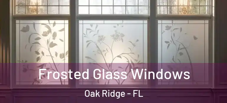  Frosted Glass Windows Oak Ridge - FL