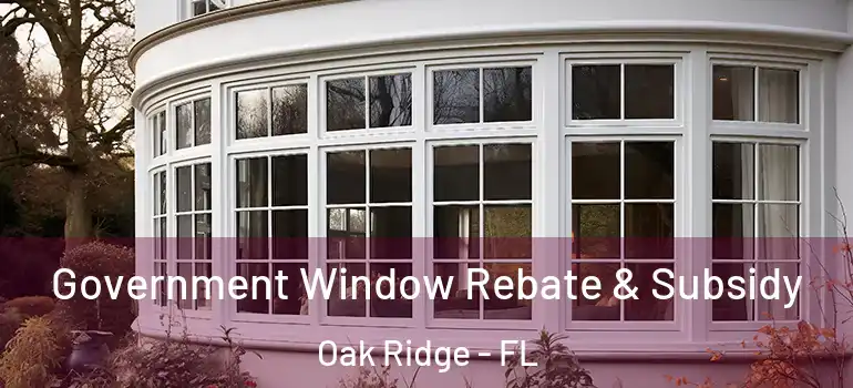 Government Window Rebate & Subsidy Oak Ridge - FL