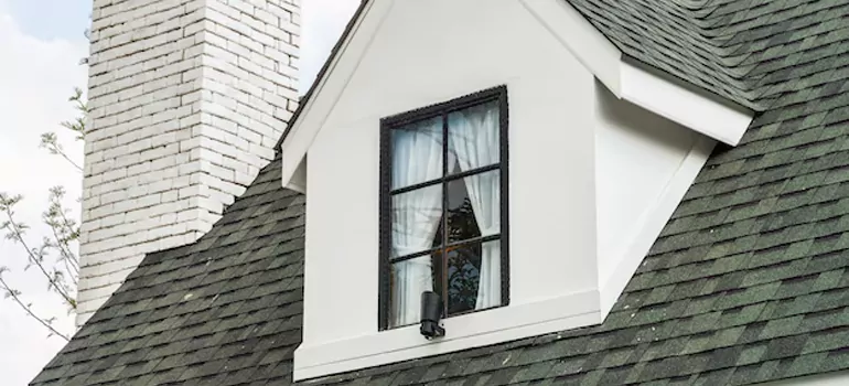 Roof Window Repair in Oak Ridge, FL