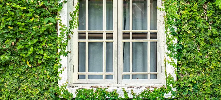 Garden Window Repair Near Me in Oak Ridge, FL