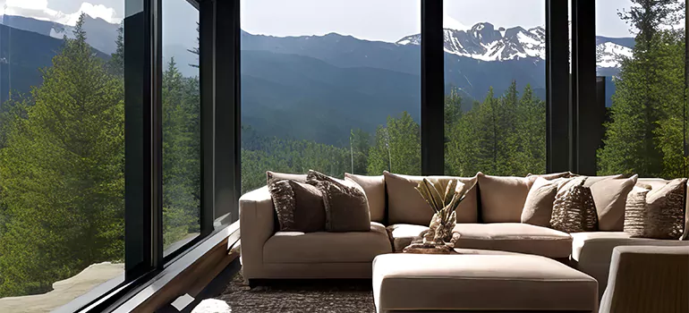 Picture Window Maintenance in Oak Ridge, FL