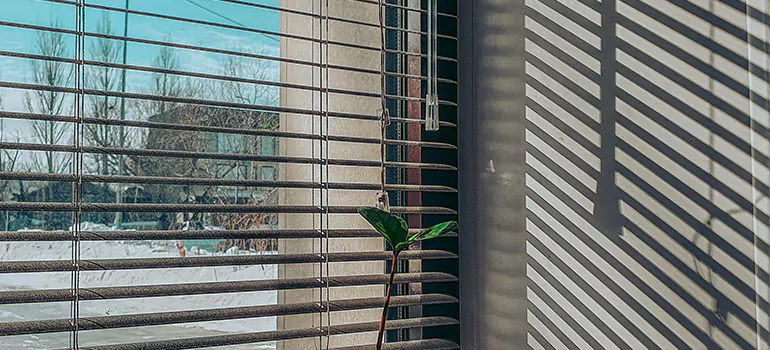 Commercial Window Blinds in Oak Ridge, FL