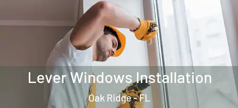  Lever Windows Installation Oak Ridge - FL