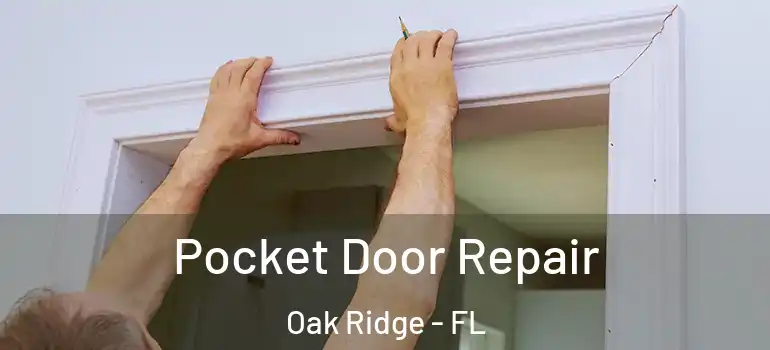  Pocket Door Repair Oak Ridge - FL