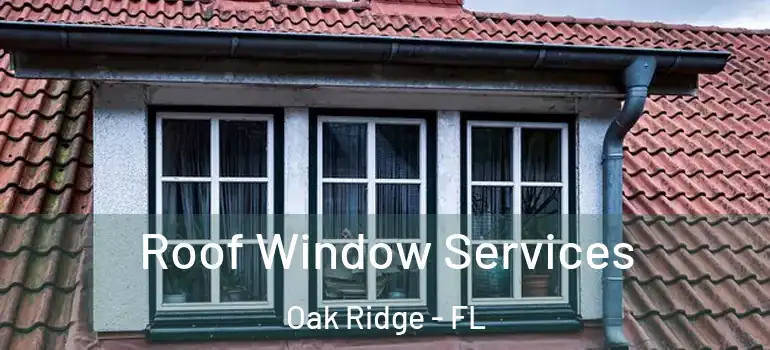 Roof Window Services Oak Ridge - FL
