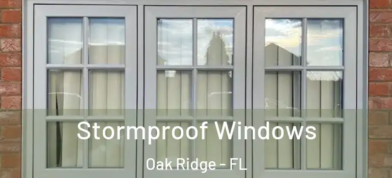  Stormproof Windows Oak Ridge - FL