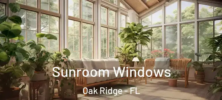Sunroom Windows Oak Ridge - FL