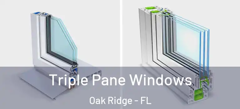  Triple Pane Windows Oak Ridge - FL