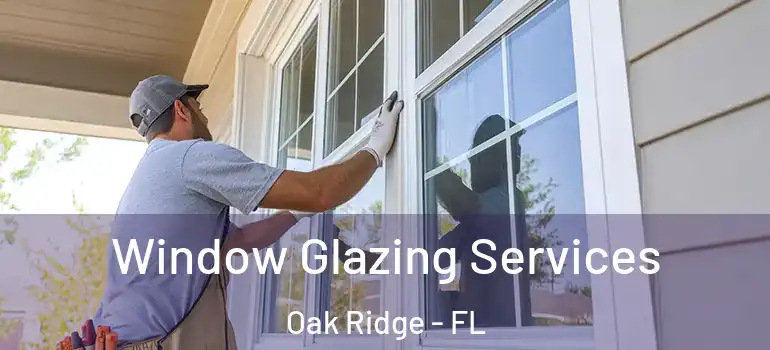Window Glazing Services Oak Ridge - FL