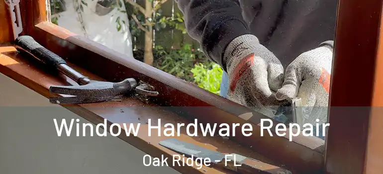 Window Hardware Repair Oak Ridge - FL