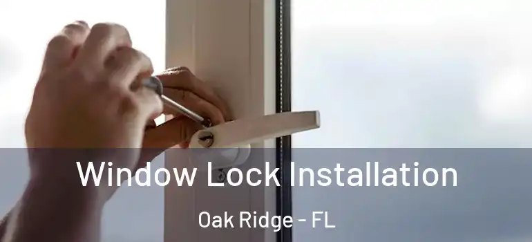  Window Lock Installation Oak Ridge - FL