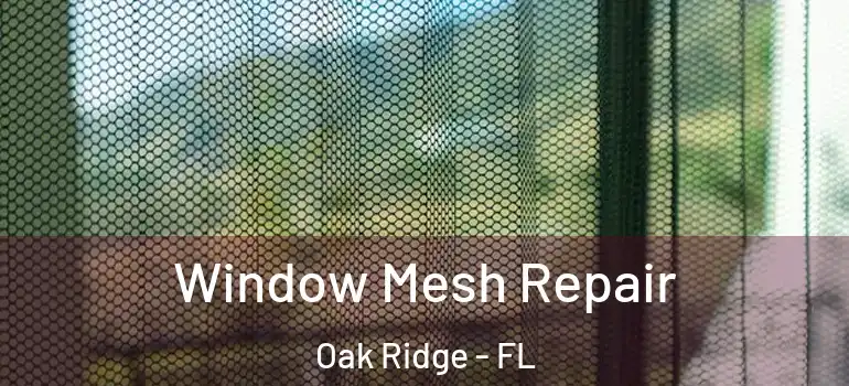 Window Mesh Repair Oak Ridge - FL