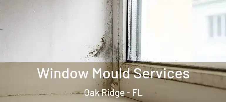 Window Mould Services Oak Ridge - FL