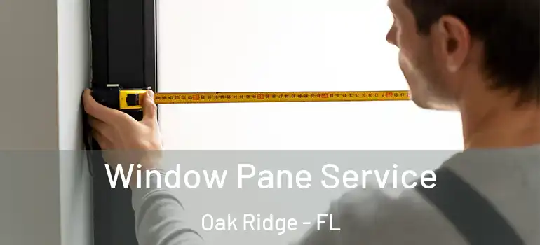  Window Pane Service Oak Ridge - FL