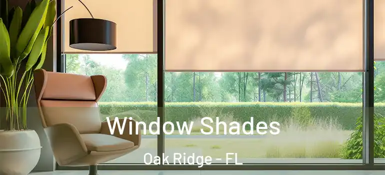  Window Shades Oak Ridge - FL