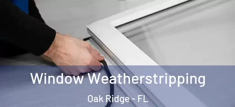  Window Weatherstripping Oak Ridge - FL