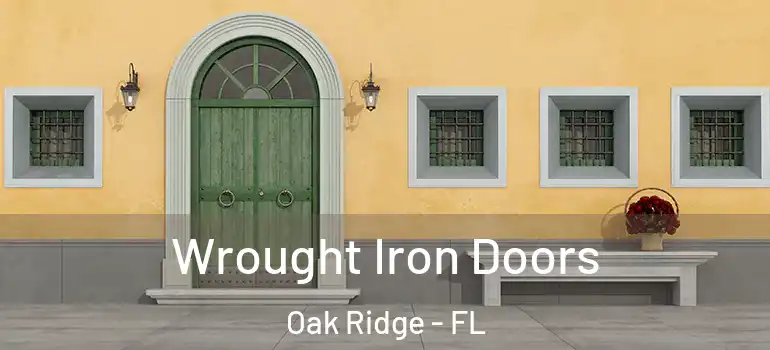  Wrought Iron Doors Oak Ridge - FL